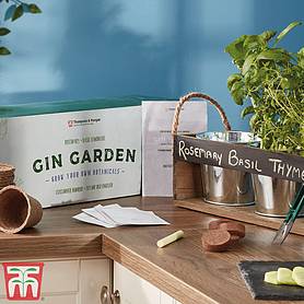 Gin Garden Seed Kit  - Gift