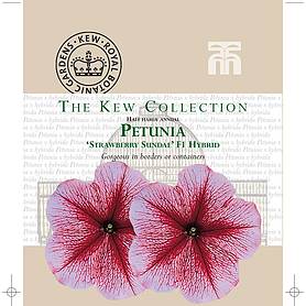 Petunia 'Strawberry Sundae' - Kew Collection Seeds