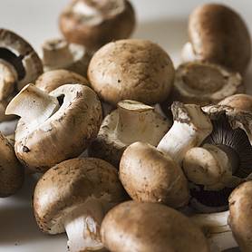 Mushroom 'Brown Cap Button' (Portabella)