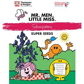 Mr. Men™ Little Miss™ Salvia patens - Seeds