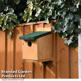 Classic Nest Box with Green Roof