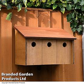 Oakham Sparrow Terrace Nest Box