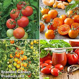 Nurseryman's Choice Grafted Tomato Collection