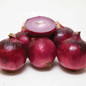 Onion 'Red Arrow' (Spring Planting)