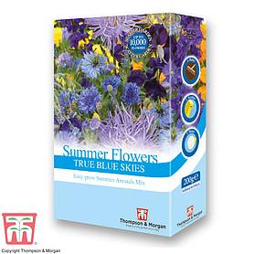 Summer Flowers Theme Blue Scatter Pack