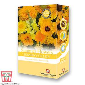 Summer Flowers Theme Yellow Scatter Pack - Seeds