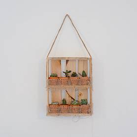 Hanging Wooden Succulent Shelf With 8 Plants x 1