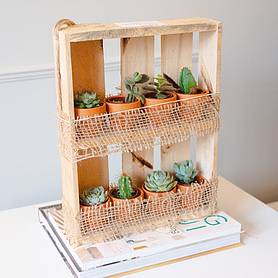 Hanging Wooden Succulent Shelf With 8 Plants