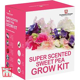 Super Scented Sweet Pea Growing Kit