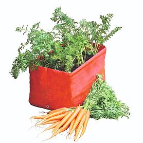 Carrot Planters (Twin Pack)
