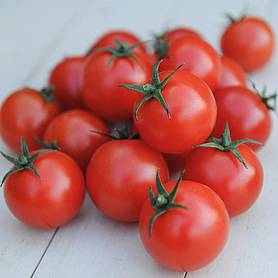 Tomato 'Gardener's Delight' - Seeds
