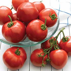 Tomato 'Cristal' F1 Hybrid - Seeds