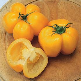 Tomato 'Yellow Stuffer' - Heritage
