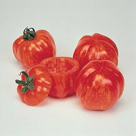 Tomato 'Striped Stuffer' - Heritage