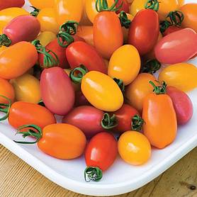 Tomato 'Rainbow Blend' F1 Hybrid - Seeds
