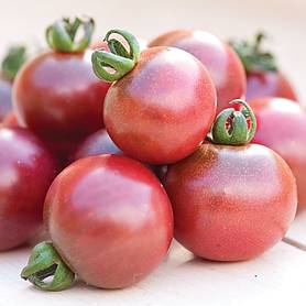 Tomato ROSELLA Cherry dark red tomatoes Ukraine 20 seeds D DOOKHOV Farmer's idea 