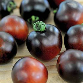 Tomato 'Indigo Cherry Drops' - Seeds