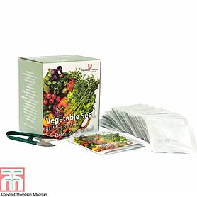 Vegetable Seed Bumper Pack