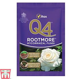 Vitax Q4 Rootmore