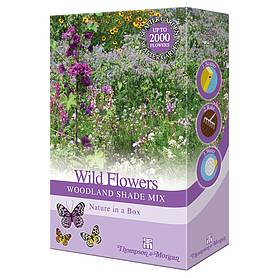 Wildflowers 'Woodland Shade Mix'