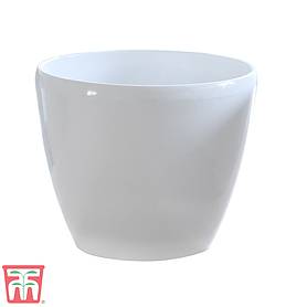 White Plastic Pot