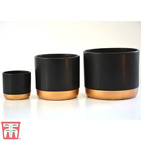 Two-tone ceramic pots - Black/Gold