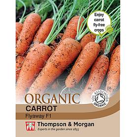 Carrot 'Flyaway' F1 Hybrid - Organic Seeds