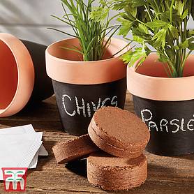 Herb Kit with Terracotta Chalk Pots