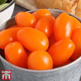 Tomato 'Mirado Orange'