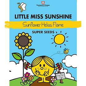 Mr. Men™ Little Miss™ - Little Miss Sunshine - Sunflower 'Helios Flame' - Seeds