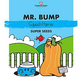 Mr. Men™ Little Miss™ - Mr. Bump - Squash 'Harrier' - Seeds