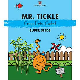 Mr. Tickle - Cress 'Extra Curled'