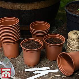 Teracotta coloured Grow Pots