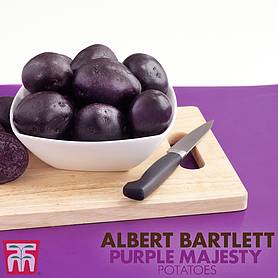 Potato 'Purple Majesty'