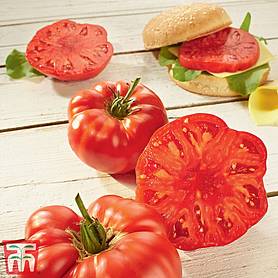 Tomato 'Buffalosteak' F1 Hybrid - Seeds