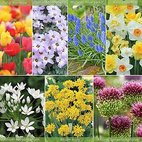 Spring Spectacular Colour Collection
