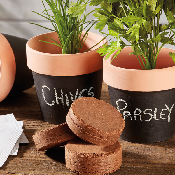 Image of Herb Kit with Terracotta Chalk Pots