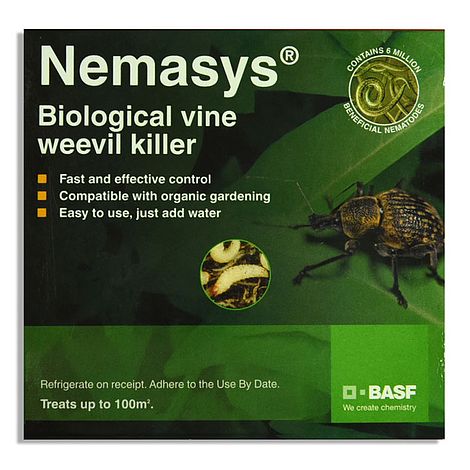 Nematode Nemasys Vine Weevil 100m² (Spring and Autumn)