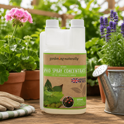 Aphid 500ml Concentrate