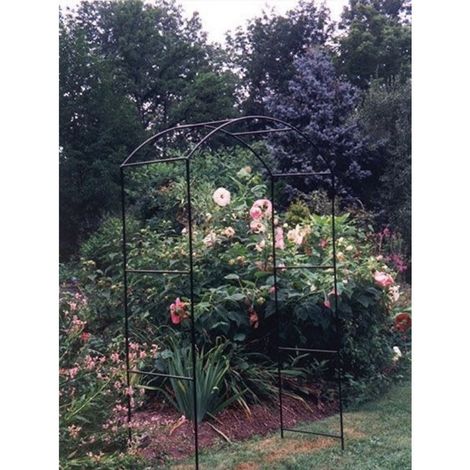 Monet Arch Hardstanding Bare Metal/Ready to Rust, Garden Metal Arch for Climbers - Solid Steel - L53 x W152 x H143 cm