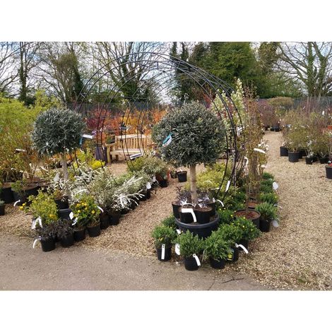 Round Tunnel Arch (Including Ground Spikes) Garden Moon Gate Archway - Solid Steel - L66 x W229 x H234 cm - Antique Black