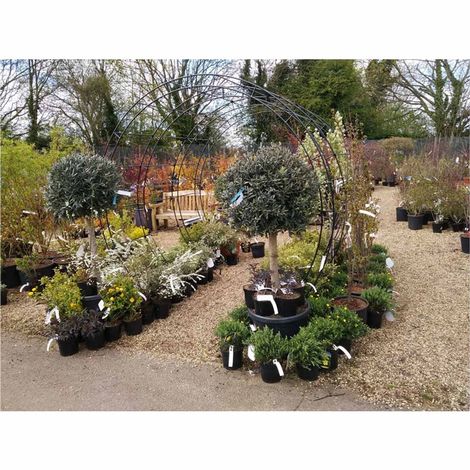 Round Tunnel (Including Ground Spikes) Bare Metal - Ready to Rust - Steel - L228.6 x W238.8 x H66 cm