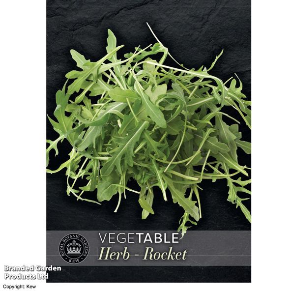 Rocket - Kew Vegetable Seed Collection
