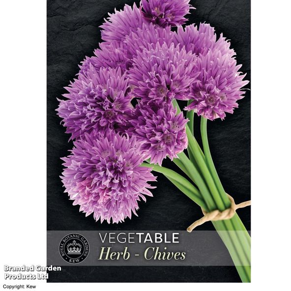 Chives - Kew Vegetable Seed Collection