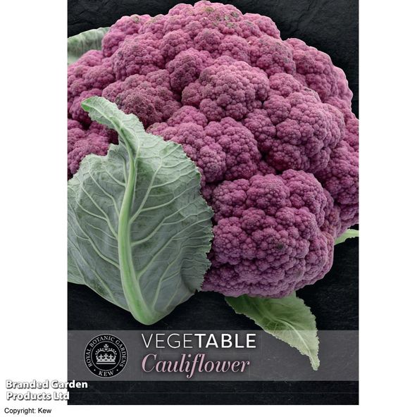 Cauliflower DePurple F1 - Kew Vegetable Seed Collection
