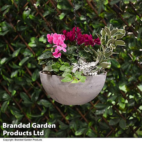 Garden Gear - Medium Stone Effect Hanging Basket