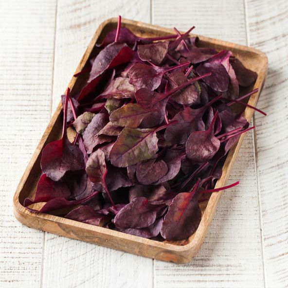 Beetroot Bulls Blood - Veg Patch Saver Seeds