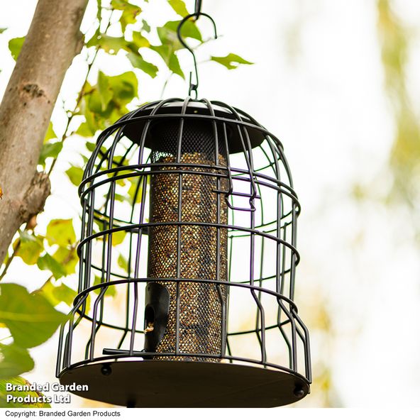 Happy Beaks - Heavy Duty Squirrel Proof Peanut Feeder