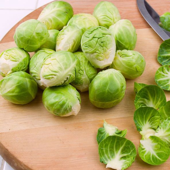 Brussels Sprout Groninger - Organic Seeds