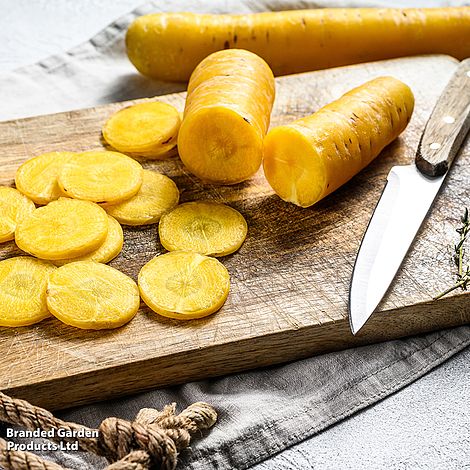 Carrot Yellow Moon F1 - Seeds